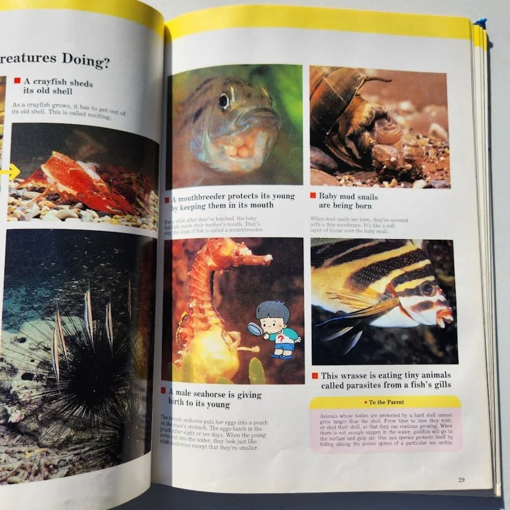 Life in the Water Child's First Library of Learning Science Stem Book Homeschool